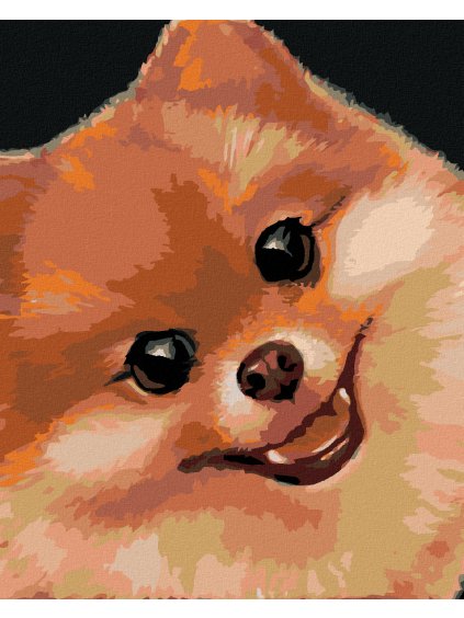 Diamantové maľovanie - POMERANIAN (MYROSLAVA VOLOSCHUK) (Rámovanie bez rámu a bez vypnutia plátna, Rozmer 40x50 cm)
