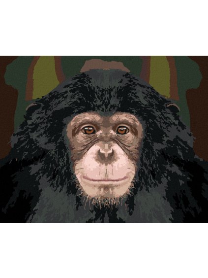 Diamantové maľovanie - PORTRÉT ŠIMPANZ (Rámovanie bez rámu a bez vypnutia plátna, Rozmer 40x50 cm)