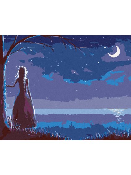 Diamantové maľovanie - PRINCEZNA DÍVAJÚCA SA NA MESIAC (Rámovanie bez rámu a bez vypnutia plátna, Rozmer 40x50 cm)