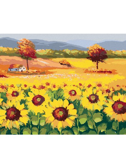 Diamantové maľovanie - PREKRÁSNE POLE PLNÉ SLNEČNÍC (Rámovanie bez rámu a bez vypnutia plátna, Rozmer 40x50 cm)