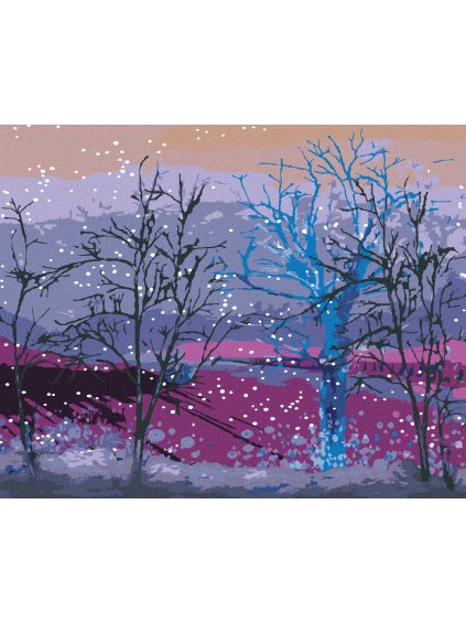 Diamantové maľovanie - RANNÝ SNIEŽIK PADAJÚCI NA STROMY V LESE (Rámovanie bez rámu a bez vypnutia plátna, Rozmer 40x50 cm)