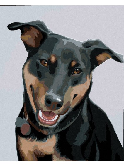 Diamantové maľovanie - ROTVAJLER 2 (MYROSLAVA VOLOSCHUK) (Rámovanie bez rámu a bez vypnutia plátna, Rozmer 40x50 cm)