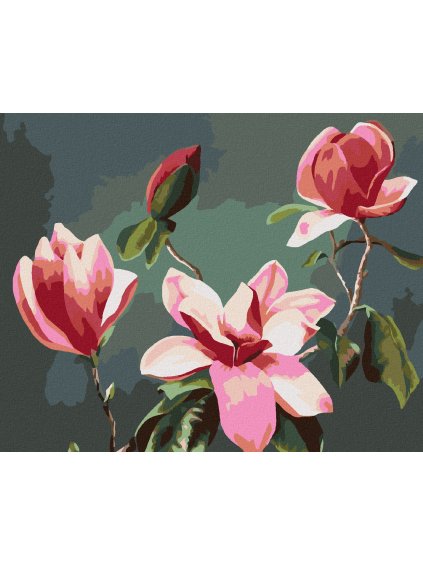 Diamantové maľovanie - RUŽOVÁ MAGNÓLIA (MYROSLAVA VOLOSCHUK) (Rámovanie bez rámu a bez vypnutia plátna, Rozmer 40x50 cm)