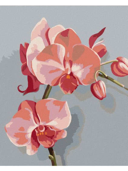 Diamantové maľovanie - RUŽOVÁ ORCHIDEA (MYROSLAVA VOLOSCHUK) (Rámovanie bez rámu a bez vypnutia plátna, Rozmer 40x50 cm)