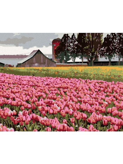 Diamantové maľovanie - RUŽOVÉ TULIPÁNY NA LÚKE (DENNIS FRATES) (Rámovanie bez rámu a bez vypnutia plátna, Rozmer 40x50 cm)