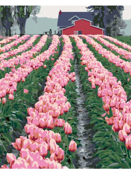 Diamantové maľovanie - RUŽOVÉ TULIPÁNY PRI STODOLE (DENNIS FRATES) (Rámovanie bez rámu a bez vypnutia plátna, Rozmer 40x50 cm)