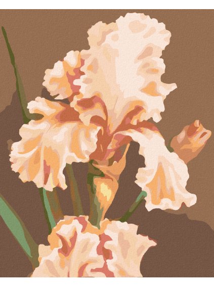 Diamantové maľovanie - RUŽOVÝ IRIS (MYROSLAVA VOLOSCHUK) (Rámovanie bez rámu a bez vypnutia plátna, Rozmer 40x50 cm)