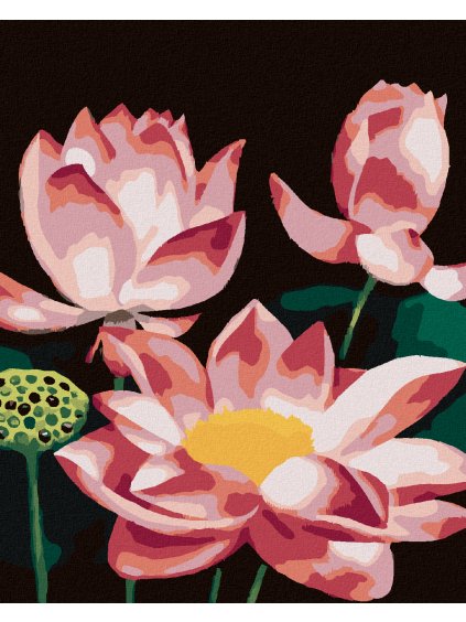 Diamantové maľovanie - RUŽOVÉ LEKNO (MYROSLAVA VOLOSCHUK) (Rámovanie bez rámu a bez vypnutia plátna, Rozmer 40x50 cm)