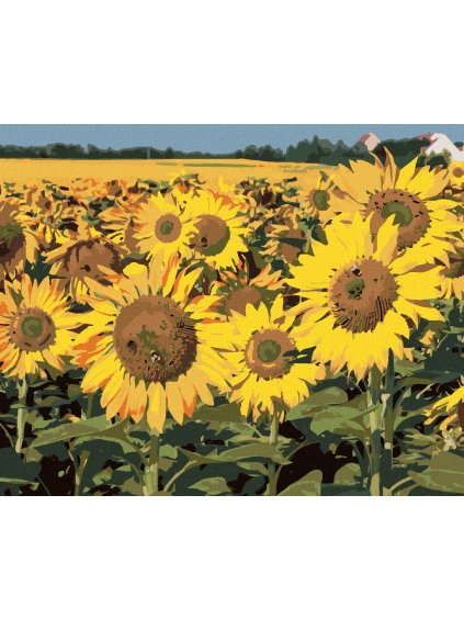 Diamantové maľovanie - SLNEČNICA NA POLI 2 (Rámovanie bez rámu a bez vypnutia plátna, Rozmer 40x50 cm)