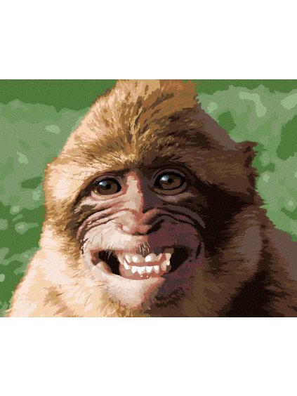 Diamantové maľovanie - SMEJÚCE SA OPICA (Rámovanie bez rámu a bez vypnutia plátna, Rozmer 40x50 cm)