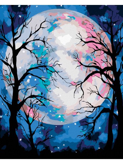 Diamantové maľovanie - FAREBNÝ MESIAC (Rámovanie bez rámu a bez vypnutia plátna, Rozmer 40x50 cm)