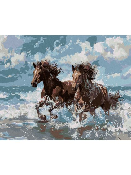 Diamantové maľovanie - KONE A MORE (Rámovanie bez rámu a bez vypnutia plátna, Rozmer 40x50 cm)