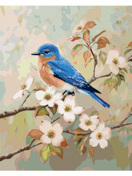 Diamantové maľovanie - MODRÝ VTÁK NA KONÁRI A BIELE KVETY (Rámovanie bez rámu a bez vypnutia plátna, Rozmer 40x50 cm)