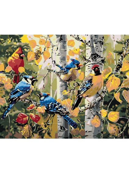 Diamantové maľovanie - SPEVAVÍ VTÁCI A BREZA (Rámovanie bez rámu a bez vypnutia plátna, Rozmer 40x50 cm)