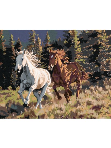 Diamantové maľovanie - BEŽIACE KONE A HORY (Rámovanie bez rámu a bez vypnutia plátna, Rozmer 40x50 cm)
