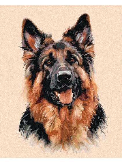 Diamantové maľovanie - NEMECKÝ OVČIAK (Rámovanie bez rámu a bez vypnutia plátna, Rozmer 40x50 cm)