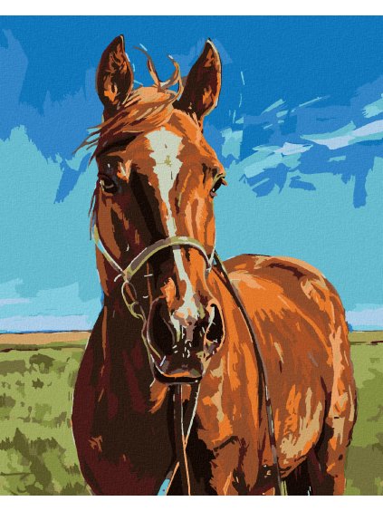 Diamantové maľovanie - RYŠAVÝ KÔŇ S UZDIČKOU (Rámovanie bez rámu a bez vypnutia plátna, Rozmer 40x50 cm)
