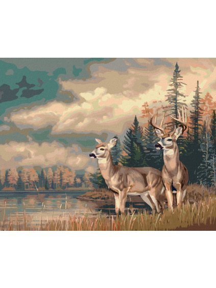 Diamantové maľovanie - JELEN S DRUŽKOU A LES (Rámovanie bez rámu a bez vypnutia plátna, Rozmer 40x50 cm)