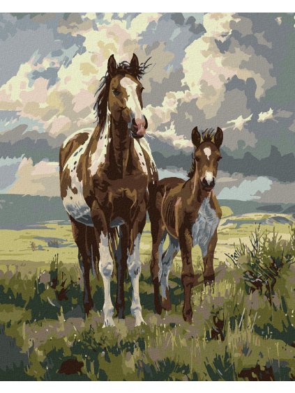 Diamantové maľovanie - KONE NA NÁHORNÝCH PLANINÁCH (Rámovanie bez rámu a bez vypnutia plátna, Rozmer 40x50 cm)