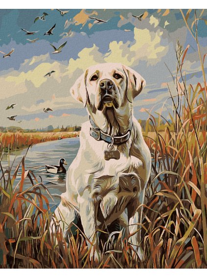 Diamantové maľovanie - ZLATÝ LABRADOR V RÁKOSÍ PRI RYBNÍKU A KAČKY (Rámovanie bez rámu a bez vypnutia plátna, Rozmer 40x50 cm)