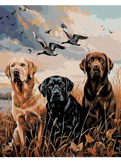 Diamantové maľovanie - ZLATÝ, HNEDÝ A ČIERNY LABRADOR V RAKOSÍ PRI RYBNÍKU (Rámovanie bez rámu a bez vypnutia plátna, Rozmer 40x50 cm)