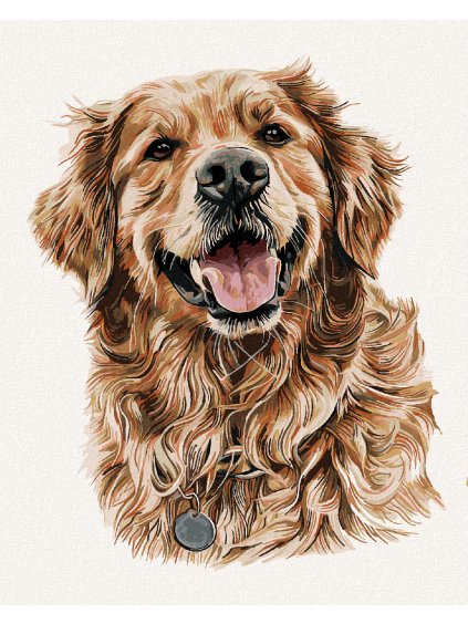 Diamantové maľovanie - ZLATÝ RETRÍVER SO ZNÁMKOU (Rámovanie bez rámu a bez vypnutia plátna, Rozmer 40x50 cm)