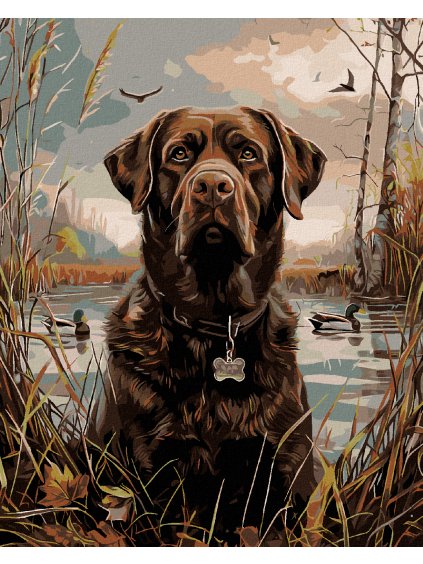 Diamantové maľovanie - HNEDÝ LABRADOR V RÁKOSÍ PRI RYBNÍKU (Rámovanie bez rámu a bez vypnutia plátna, Rozmer 40x50 cm)