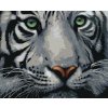 Diamantové maľovanie - HLAVA BIELEHO TIGRA (Rámovanie bez rámu a bez vypnutia plátna, Rozmer 40x50 cm)