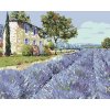 Diamantové maľovanie - LEVANDUĽOVÉ POLE I (Rámovanie bez rámu a bez vypnutia plátna, Rozmer 40x50 cm)