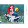 Diamantové maľovanie - MALÁ MORSKÁ VÍLA (Rámovanie bez rámu a bez vypnutia plátna, Rozmer 40x50 cm)