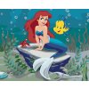 Diamantové maľovanie - MALÁ MORSKÁ VÍLA (Rámovanie bez rámu a bez vypnutia plátna, Rozmer 40x50 cm)