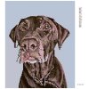 Diamantové maľovanie - HNEDÝ PES S HNEDÝM OBOJKOM (Rámovanie bez rámu a bez vypnutia plátna, Rozmer 40x50 cm)