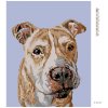 Diamantové maľovanie - HNEDÝ STAFORD (Rámovanie bez rámu a bez vypnutia plátna, Rozmer 40x50 cm)