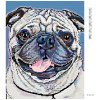 Diamantové maľovanie - MOPSÍK (Rámovanie bez rámu a bez vypnutia plátna, Rozmer 40x50 cm)