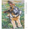 Diamantové maľovanie - ŠTENIATKO OVČIAKA (Rámovanie bez rámu a bez vypnutia plátna, Rozmer 40x50 cm)