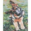 Diamantové maľovanie - ŠTENIATKO OVČIAKA (Rámovanie bez rámu a bez vypnutia plátna, Rozmer 40x50 cm)