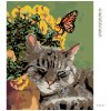 Diamantové maľovanie - ODPOČÍVAJUCI KOCÚR A MOTÝĽ V KVETOCH (Rámovanie bez rámu a bez vypnutia plátna, Rozmer 40x50 cm)