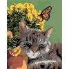 Diamantové maľovanie - ODPOČÍVAJUCI KOCÚR A MOTÝĽ V KVETOCH (Rámovanie bez rámu a bez vypnutia plátna, Rozmer 40x50 cm)