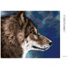 Diamantové maľovanie - HLAVA VLKA (Rámovanie bez rámu a bez vypnutia plátna, Rozmer 40x50 cm)