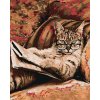 Diamantové maľovanie - MAČKA S OKULIARMI (Rámovanie bez rámu a bez vypnutia plátna, Rozmer 40x50 cm)