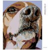 Diamantové maľovanie - ŇUFÁK BÍGLA (Rámovanie bez rámu a bez vypnutia plátna, Rozmer 40x50 cm)