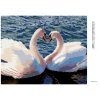 Diamantové maľovanie - LABUTE II (Rámovanie bez rámu a bez vypnutia plátna, Rozmer 40x50 cm)