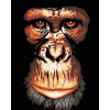 Diamantové maľovanie - ŠIMPANZ (Rámovanie bez rámu a bez vypnutia plátna, Rozmer 40x50 cm)