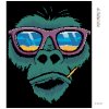 Diamantové maľovanie - OPICA A SLNEČNÉ OKULIARE (Rámovanie bez rámu a bez vypnutia plátna, Rozmer 40x50 cm)