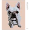 Diamantové maľovanie - BIELY BULDOČEK S MODRÝM OBOJKOM (Rámovanie bez rámu a bez vypnutia plátna, Rozmer 40x50 cm)