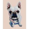 Diamantové maľovanie - BIELY BULDOČEK S MODRÝM OBOJKOM (Rámovanie bez rámu a bez vypnutia plátna, Rozmer 40x50 cm)