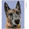Diamantové maľovanie - STARÝ VLČIAK (Rámovanie bez rámu a bez vypnutia plátna, Rozmer 40x50 cm)