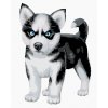 Diamantové maľovanie - MODROOKÝ HUSKY (Rámovanie bez rámu a bez vypnutia plátna, Rozmer 40x50 cm)