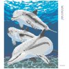 Diamantové maľovanie - DELFÍN S RODINKOU (Rámovanie bez rámu a bez vypnutia plátna, Rozmer 40x50 cm)