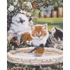Diamantové maľovanie - MAČIATKA A VTÁČIKY (Rámovanie bez rámu a bez vypnutia plátna, Rozmer 40x50 cm)